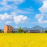 April_QIBO