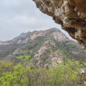 vol.57 一人公司自我修养：你有渠道？还是有脑子？【张瑞返场】