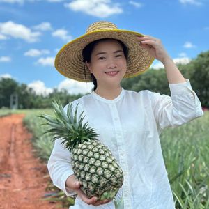 63. 自贸港脉搏| 海南金江姑娘雅丽：22岁才第一次出岛，却能用十年、自有资金滚出凤梨全产业链？