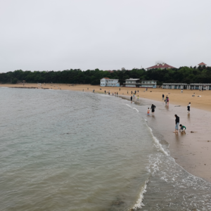 VOL124.围城内外：非法学生跨专业，考中国政法大学知识产权方向的研究生。