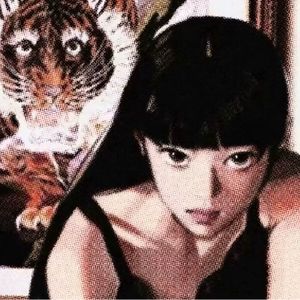 YY雞蛋黃