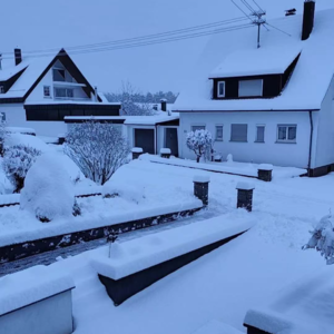 第85期：数字时代里女性“购买”的那些快乐情绪