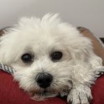 听小宇宙的女鬼