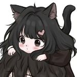 懒猫晒太阳