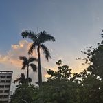 医玖