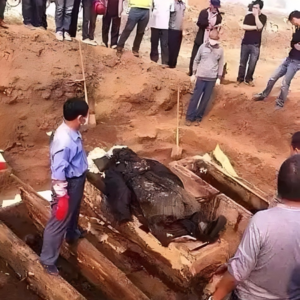 【D3畅谈•三十四】都市传说-1995成都僵尸事件