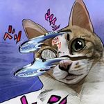 香菜什么时候拔光