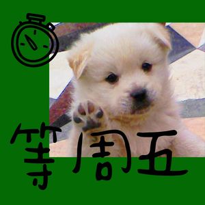 等周五
