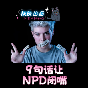 9句话让NPD闭嘴