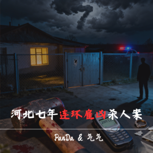 EP41.潜伏下的第四人：河北任丘七年连环雇凶杀人案