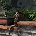 小火慢炖囖