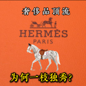 经济下行，LV和GUCCI都卖不动了，奢侈品顶流【爱马仕】，为何还能一枝独秀？