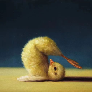 012.从张雪峰过世的讨论谈科学运动和生命质量