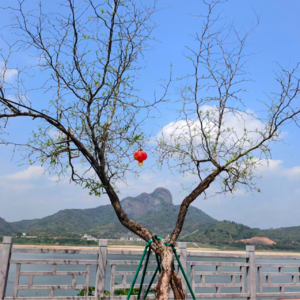 “奔县”广东最穷地方：一台通往二十年前的时光机