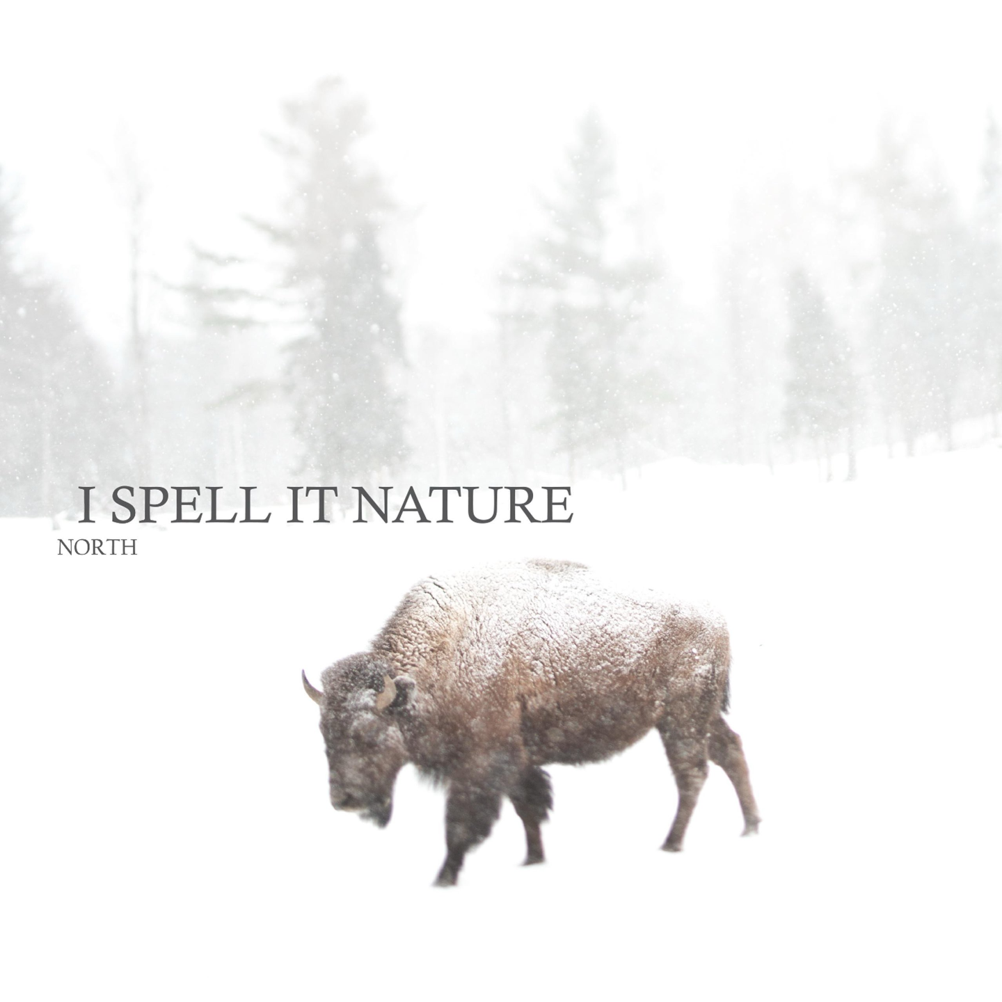 I Spell it Nature - North episode artwork