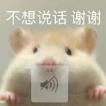 到处观望的小白