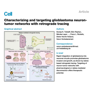 107-Glioma-Neuron Interactions: Retrograde Tracing Study