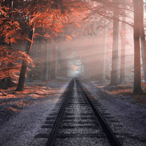 EP35 利用期权价格预测未来资产价格