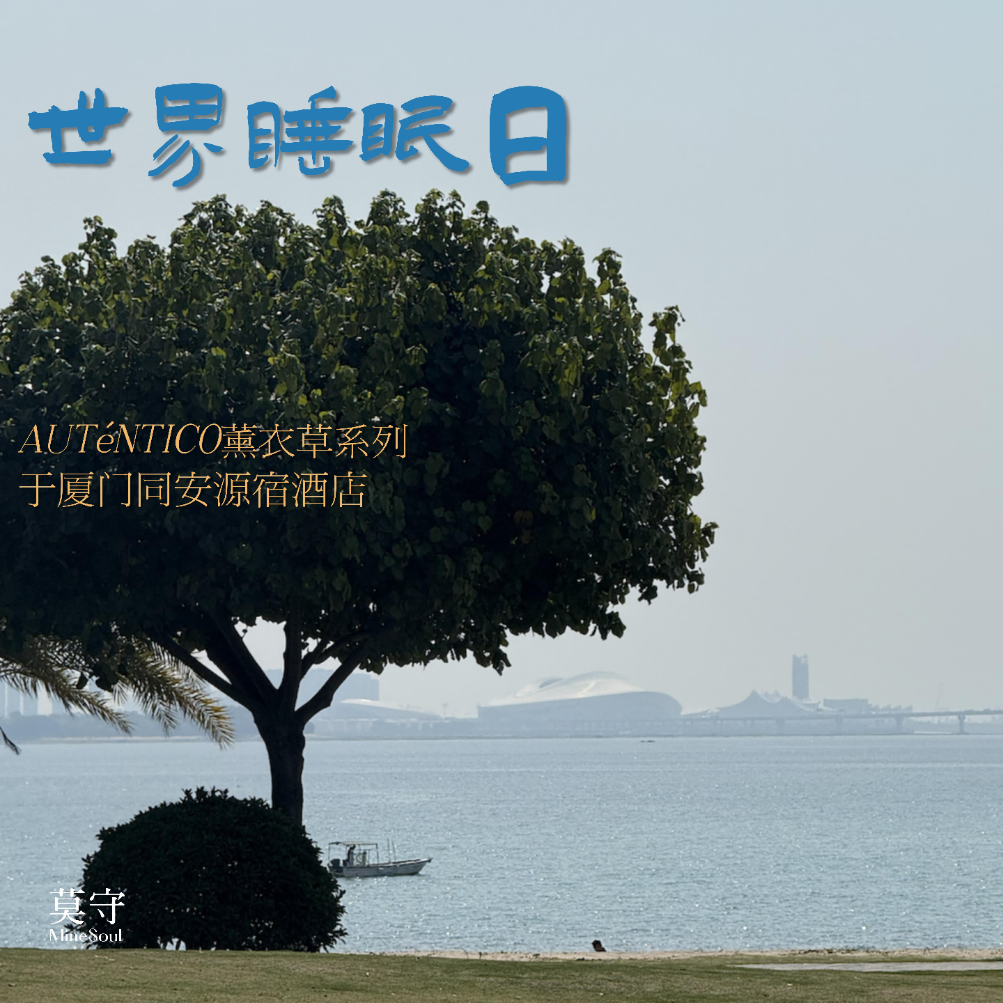 cover of episode 【MineSoul世界睡眠日】15mins森林疗愈，安然入睡