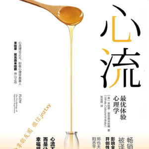 心流：找到幸福的秘密，让生活更美好！