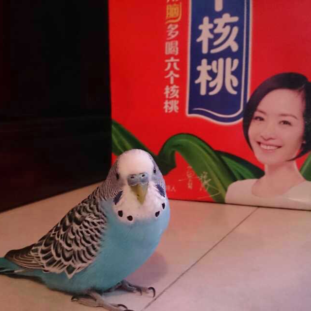 S2E4 信:你是阳光、是开心果,亦是家人