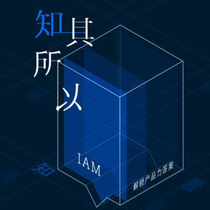 知其所以 × IAM | 逆风入局,IAM 如何摆脱「靠天吃饭」的行业宿命?
