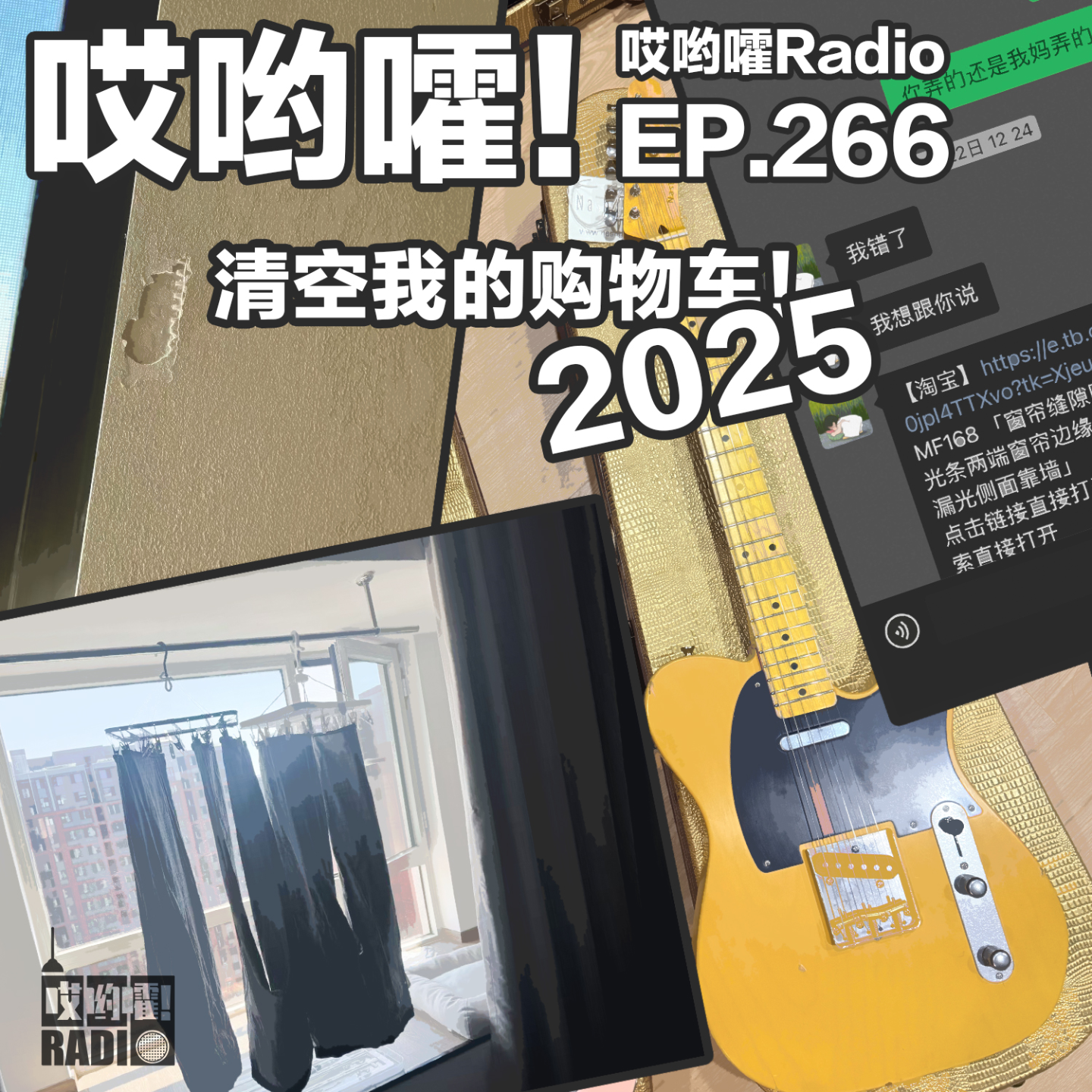 266「哎哟嚯！完美吉他，牛仔裤救星与墙皮杀手！清空我的购物车！2025」