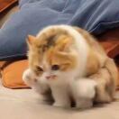 从今开始戒辛辣刺激