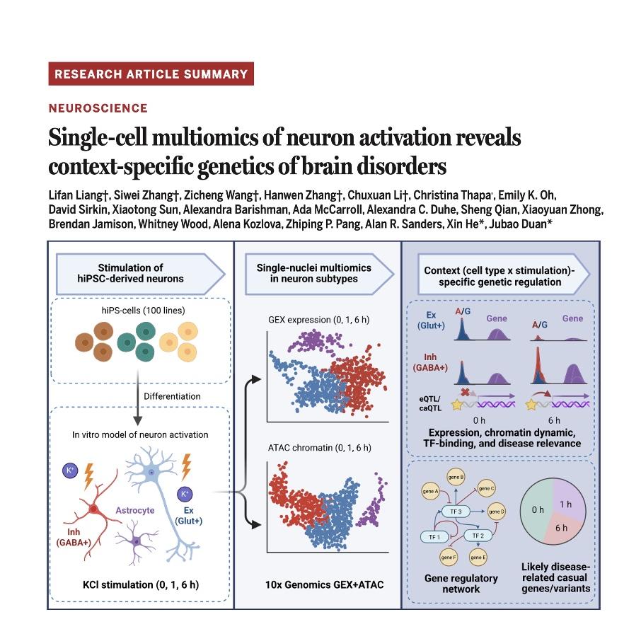 1466-Single-Cell Multiomics of Neuronal Activation episode artwork
