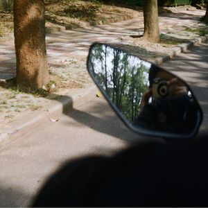 玲儿响叮当c