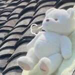 叹气小熊堵不住门