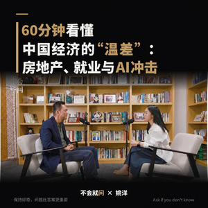 4.对话姚洋：中国经济“温差”之谜，房地产、就业与AI冲击