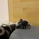 我的昵称符合规定吗