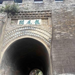 EP06｜酝酿一个“杀熟计划”——关于大理的胡思乱想（I）