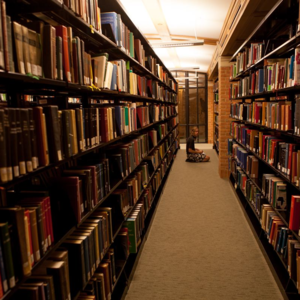 S5E28-WD图书馆"性SR案"、论文与NQ