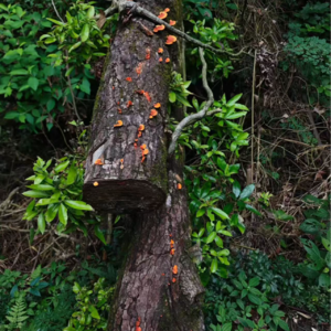 不上班一时爽，六年不上班… 真没那么爽
