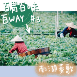 12｜【百胃百味百WAY】菱船歌影里的嘉兴，除了五芳斋粽子，能吃的可多了？