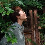 大头花的花