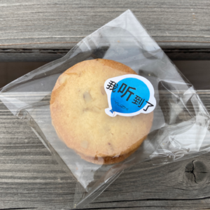 ep32. 学术圆桌：城市交通方式与听觉体验