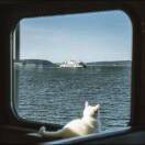 南山无梅落_GxV5