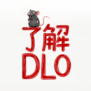 了解DLO