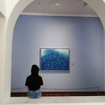 碰巧是花花
