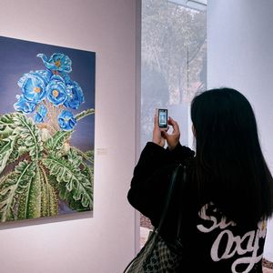 碟桃啵啵乐