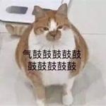 这个人没有昵称