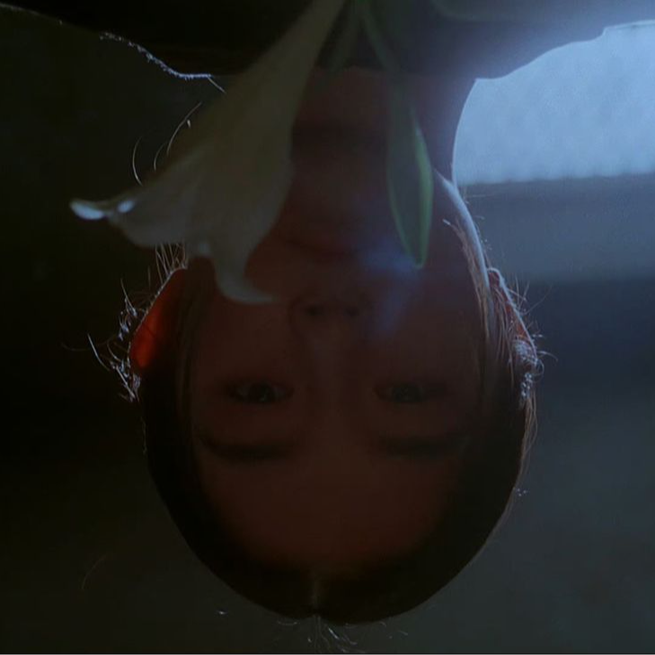 088.拥有精神世界真的好难啊，好羡慕有精神世界的人！ episode artwork