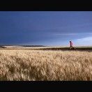 一锅乱炖_V04Y
