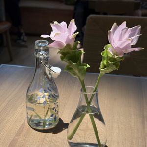 Vol.50｜好好生活，从送一束玫瑰给自己开始吧。
