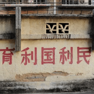 Vol.01 伊朗——没有计划性人口控制的另一个范式?