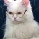Tseungwaai