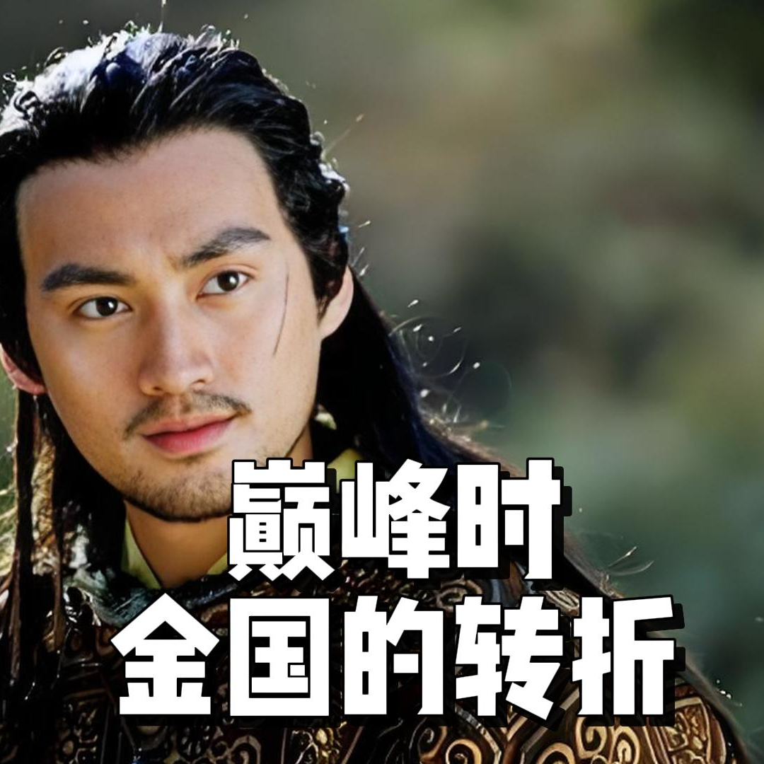 105.巅峰时金国的转折 episode artwork